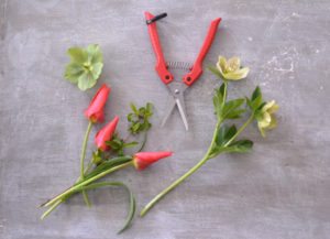 Must have Floral tools