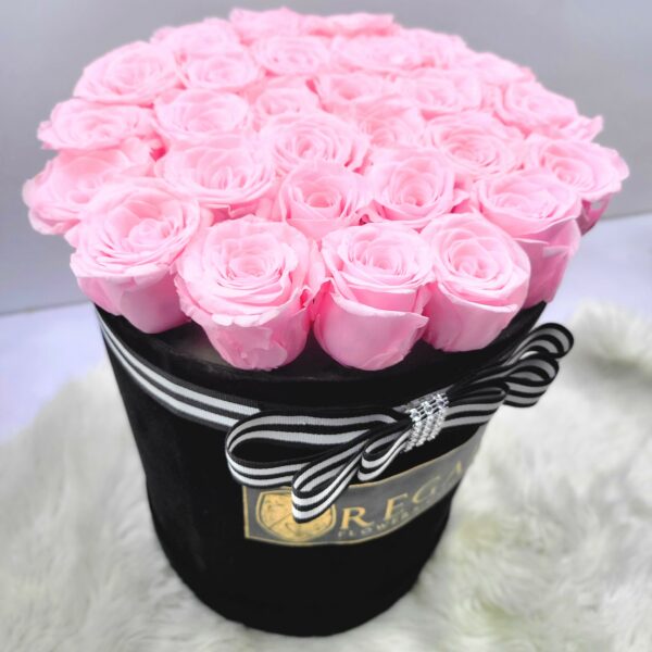 Regal-Forever-Pink-Roses